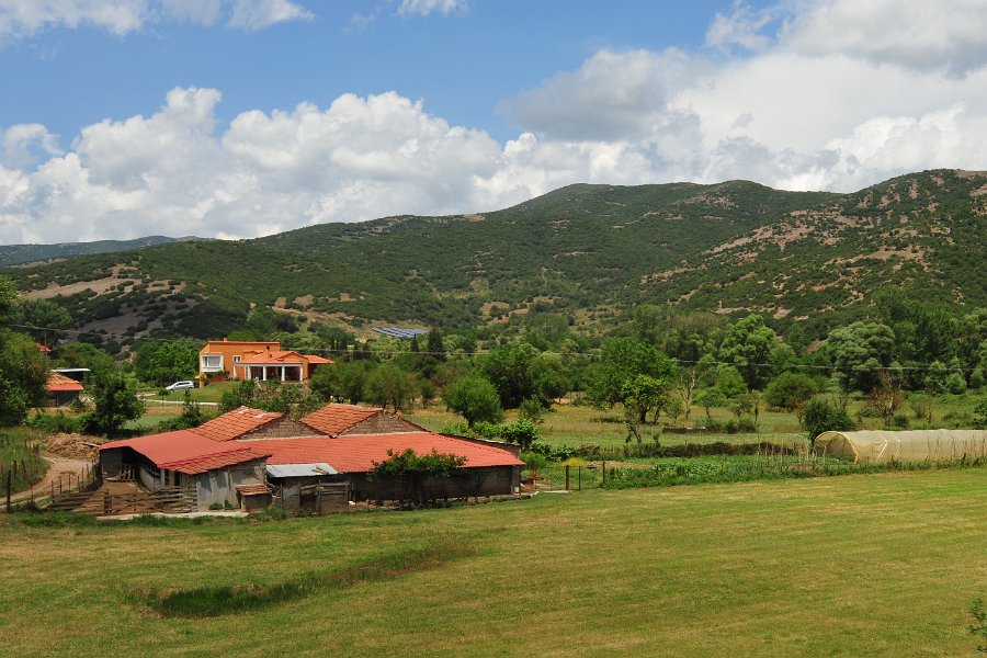 2014.06.18 Zahnradbahn in Griechenland Diakopto–Kalavryta (91)